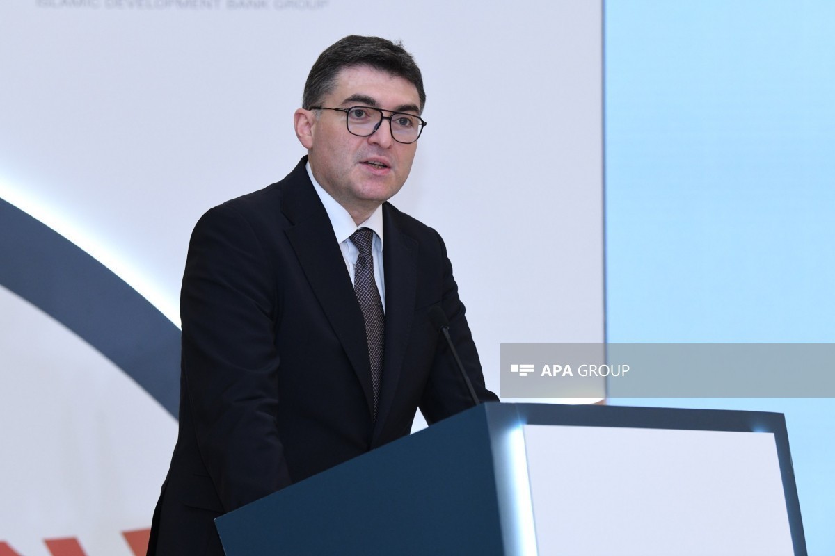 Deputy Minister of Energy Orkhan Zeynalov