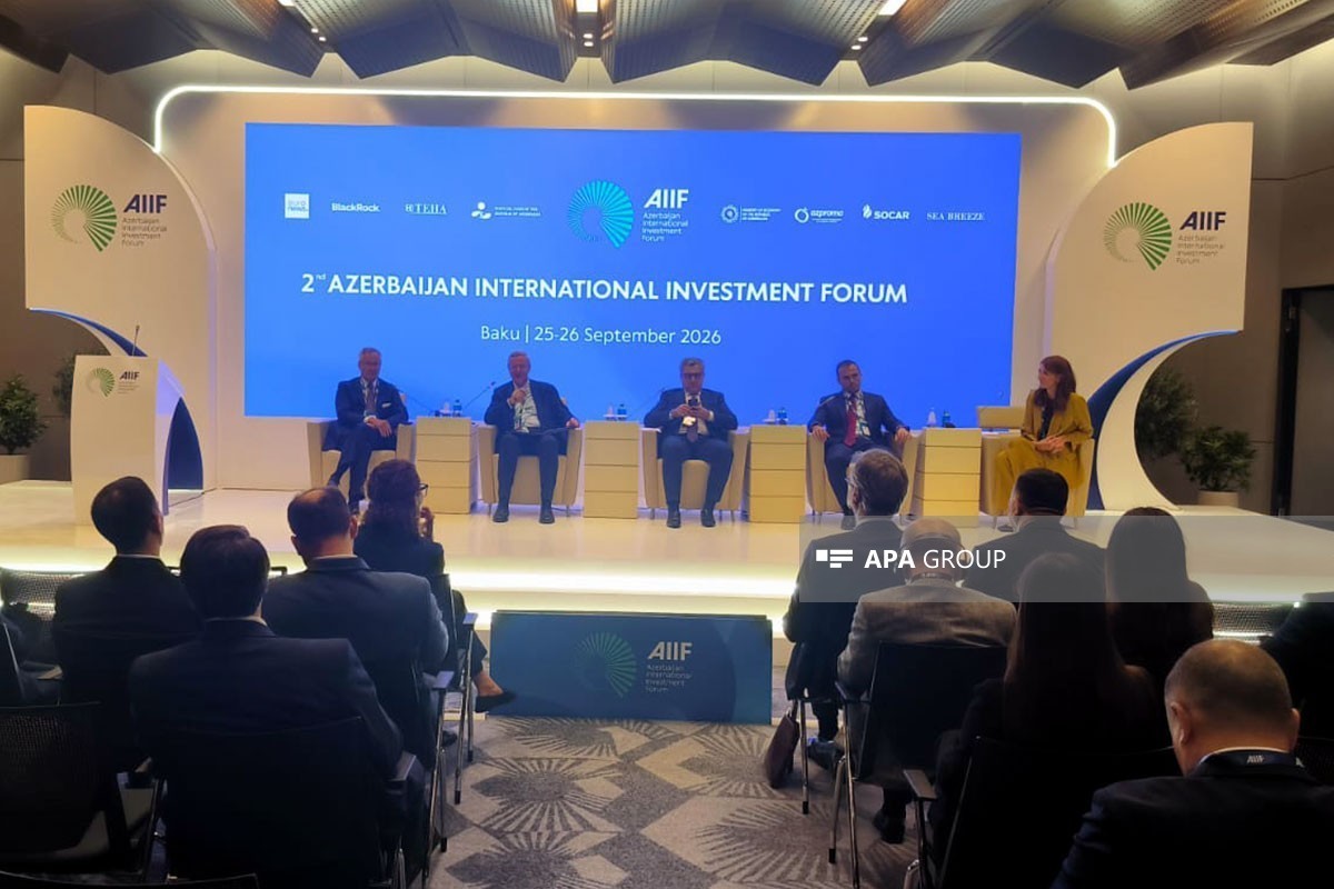 Executive Director: German businesses show growing interest in Azerbaijan