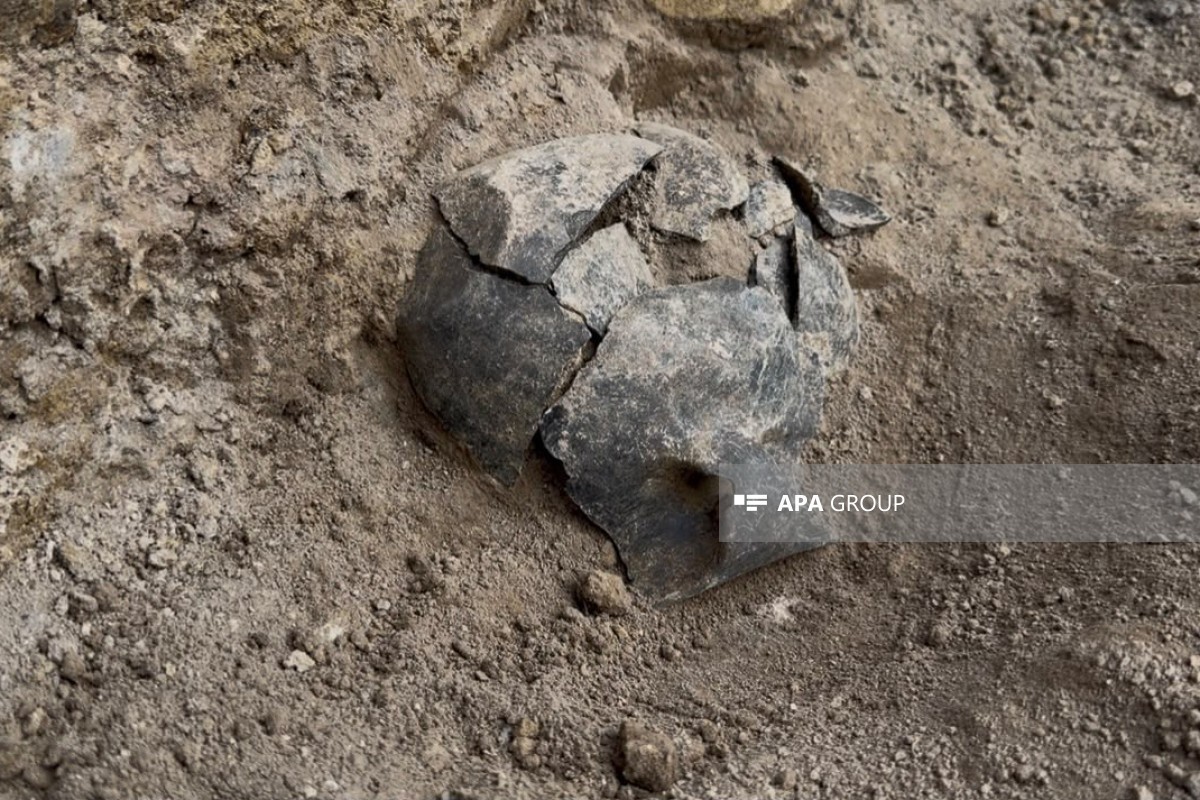 Expedition head: Samples found in Jalilabad may mark starting point of Kura-Araz culture