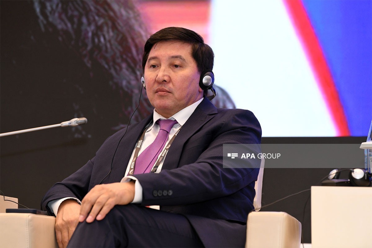 Deputy Director of the Kyrgyzstan Investment Agency Damirbek Bikulov