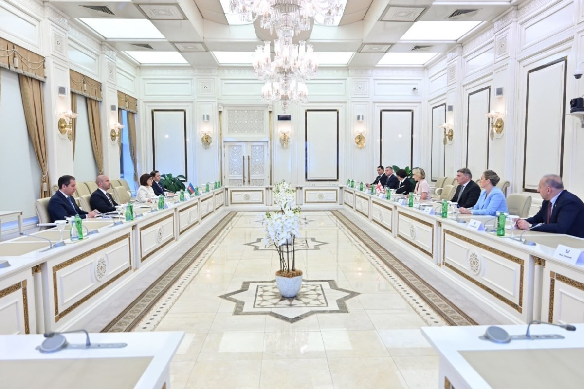 Nino Tsilosani thanks Azerbaijan for support for Georgia’s territorial integrity