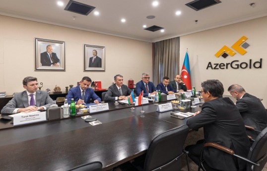 Azerbaijan and Indonesia discuss opportunities for cooperation in the mining sector