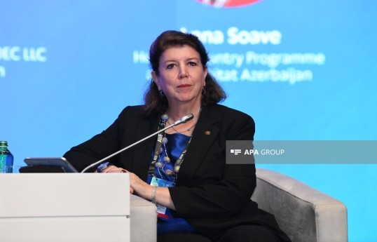 Anna Soave, Head of the United Nations Human Settlements Programme (UN-Habitat) Office in Azerbaijan