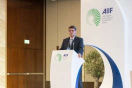 Panel session on critical raw materials and global economic security held as part of AIIF 2026