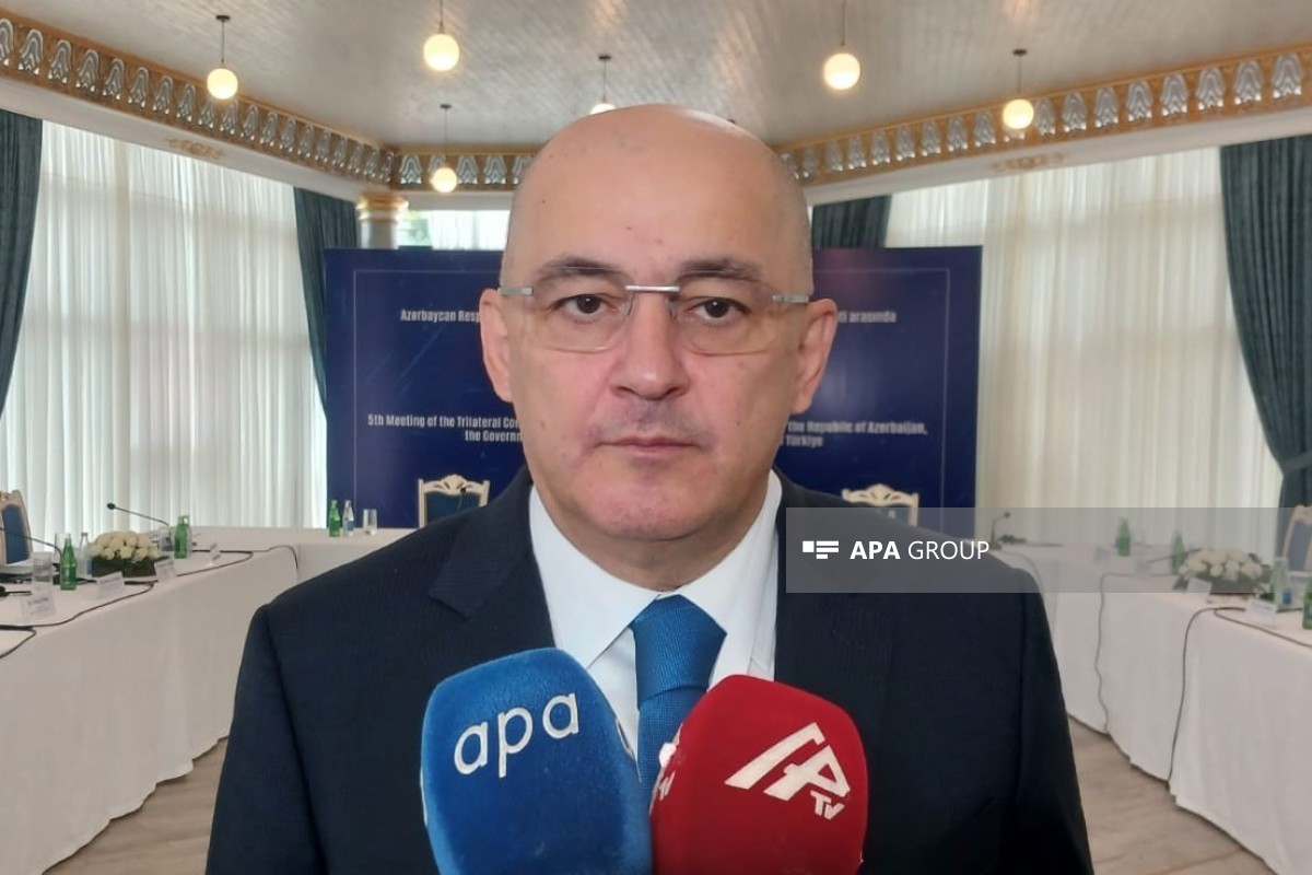 Chairman of the State Customs Committee, Colonel-General of the Customs Service Shahin Baghirov