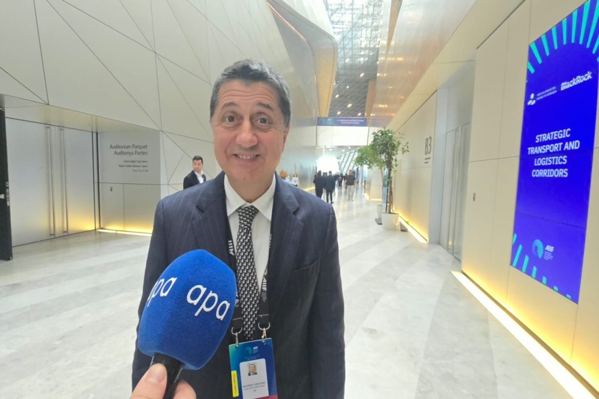 CEO and Managing Partner of the Italian investment fund FSI Maurizio Tamagnini