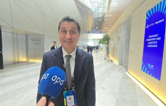 CEO and Managing Partner of the Italian investment fund FSI Maurizio Tamagnini