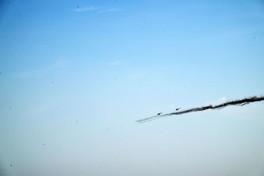 "Power of Unity – 2026” exercise successfully completes next phase - VIDEO 